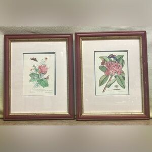 Pair of Botanical Art Solid Wood & Gold Frame 16” x 13”